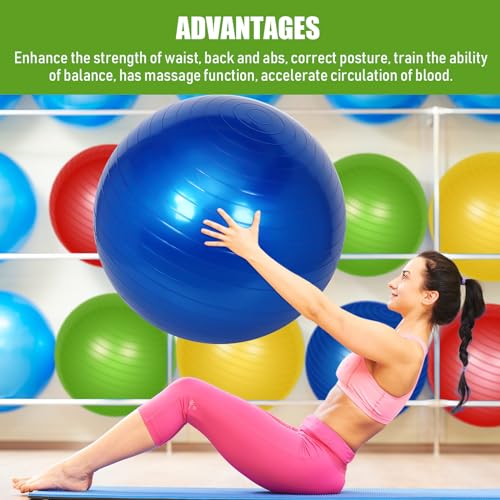 Leyndo 4 Pcs 26 Inch Yoga Exercise Ball Pilates, Bright Color