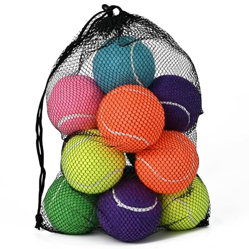 INSUM Bulk Tennis Balls, Extra Duty Practice Balls with Mesh Bag - color: Mixed, size: 12 Pack