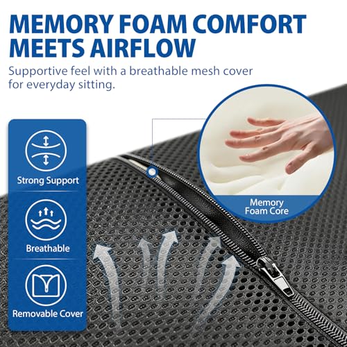 Blue Jay Memory Foam Lumbar Support for Wheelchair - Orthopedic Back Cushion for Elderly, Posture Correction & Lower Back Pressure Relief - Breathable Mesh