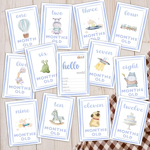 Monthly Milestone Signs for Baby My First Holiday Milestone Signs - color: Blue 2