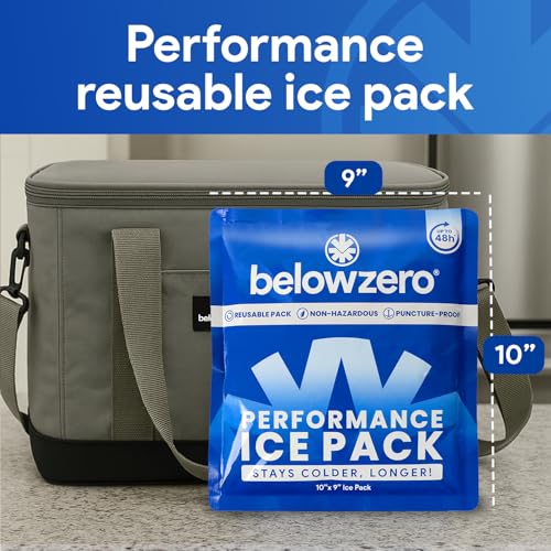 Below Zero Prefilled Reusable Ice Packs for Coolers | Long Lasting Freezer Ice Blocks for Camping, Lunch Bags & More | 48 Hour Cooler Ice Pack Technology - style: Medium - 2pk (New Design)