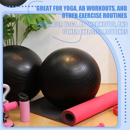 Leyndo 16 Pcs 26 Inch Yoga Exercise Ball Bulk with Pump - color: Black