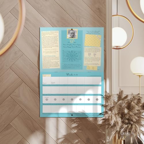 The Pregnancy Calendar - Your 40-Week Guide to Prenatal Care and Fetal Development