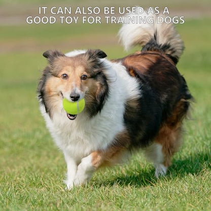SHYUJAJIE Tennis Ball,20 Pack Practice Balls Bulk,Dog Balls with Mesh Bag - color: Light Green