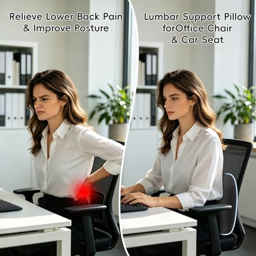 BEBAS Ergonomic Memory Foam Lumbar Support Pillow for Car & Office, Black - color: Black