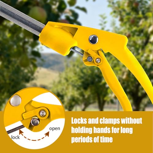 Telescopic Pole Pruner & Fruit Picker with Locking Adjustable Head -