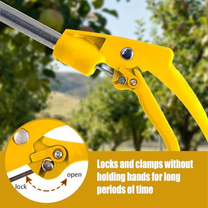 Telescopic Pole Pruner & Fruit Picker with Locking Adjustable Head -