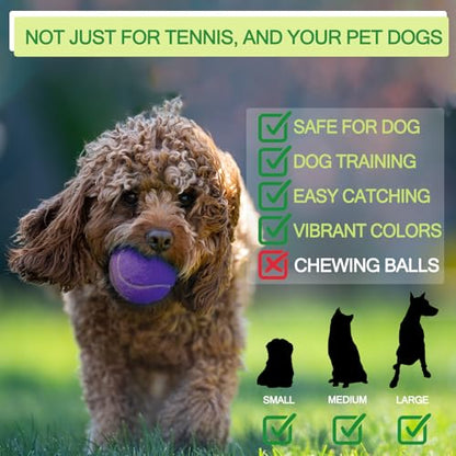 INSUM Bulk Tennis Balls, Extra Duty Practice Balls with Mesh Bag - color: Purple-A, size: 12 Pack