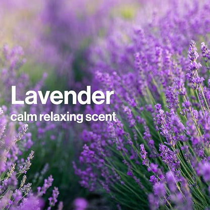The Honest Company Bathtime Lavender Gift Set, Sensitive, Disney Design - style: Disney Bathtime, Lavender