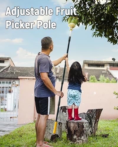 6.5FT Fruit Picker with Basket, Apple Picking Tool 35–77 Inch Adjustable Pole, Long-Handle Mango Grabber, Tree Fruit Catcher for Harvesting Lemon Pear Orange Avocado Peach Citrus Grapefruit - size: 6.5FT