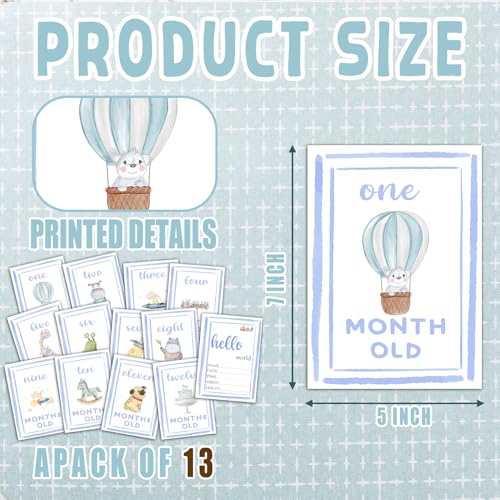 Monthly Milestone Signs for Baby My First Holiday Milestone Signs - color: Blue 2