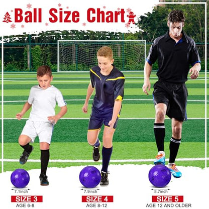 Shappy 2 Pcs Soccer Balls Bulk with Pump Mesh Bag - color: Dark Purple, size: Size 3