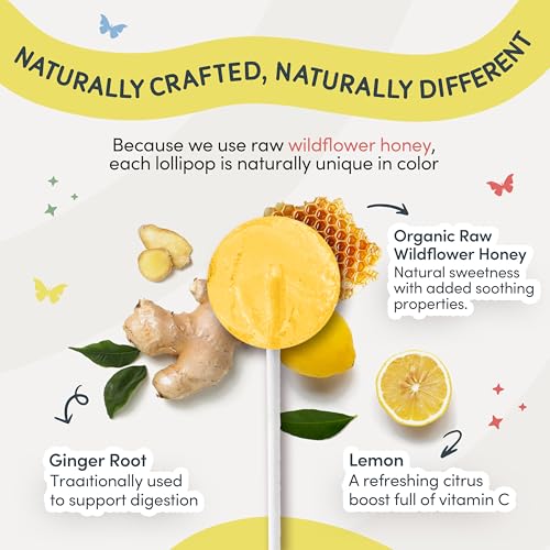 MommaBear Nausea & Motion Sickness with Real Honey & Ginger – (5 Pack) - size: 5 Count (Pack of 1)