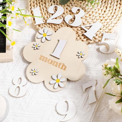 3D Daisy Baby Monthly Milestone Sign Cards, White - color: White