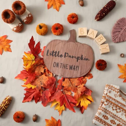 11 Pcs Fall Pregnancy Announcement Set Baby Reveal Ideas - style: Fall