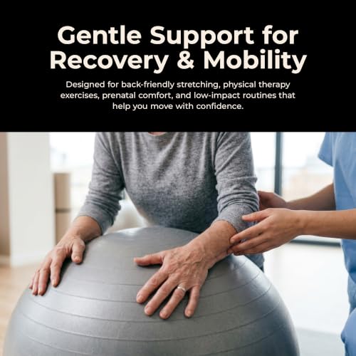 Sunny Health & Fitness Premium Anti-Burst Exercise & Stability Ball - size: 25.6" (65cm)