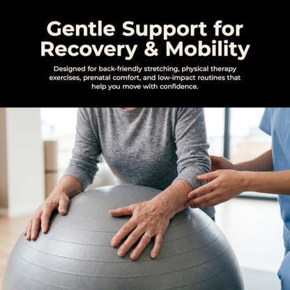 Sunny Health & Fitness Premium Anti-Burst Exercise & Stability Ball - size: 25.6" (65cm)