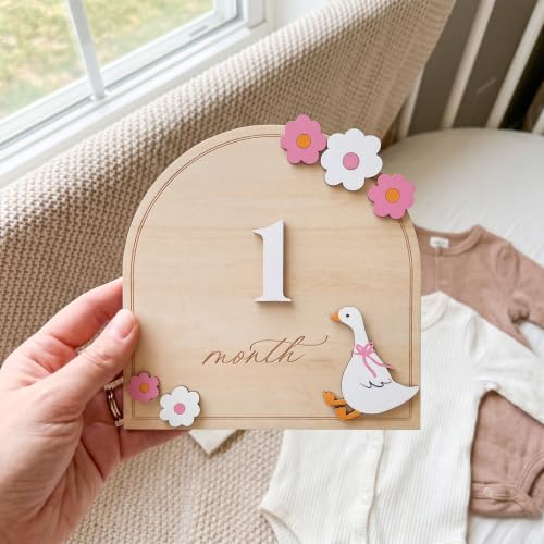 Monthly Milestone Signs for Baby, 1–12 Month Baby Markers, Newborn Photography Accessories, Nursery Decoration (D35)