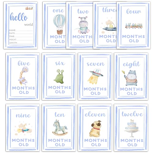 Monthly Milestone Signs for Baby My First Holiday Milestone Signs - color: Blue 2