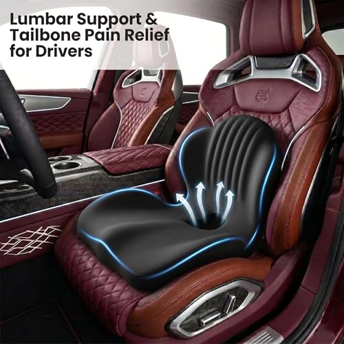 Ergonomic Seat Cushion with Lumbar Support（Black） - color: Black