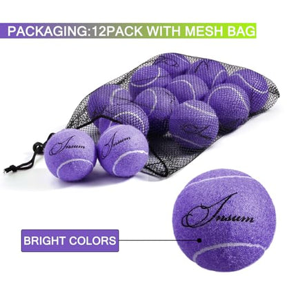 INSUM Bulk Tennis Balls, Extra Duty Practice Balls with Mesh Bag - color: Purple-A, size: 12 Pack