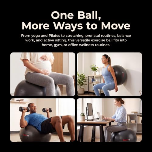 Sunny Health & Fitness Premium Anti-Burst Exercise & Stability Ball - size: 25.6" (65cm)