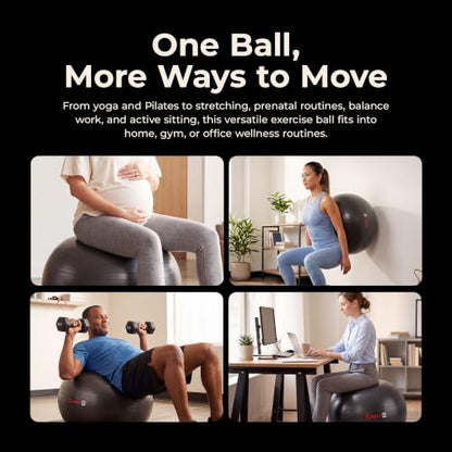 Sunny Health & Fitness Premium Anti-Burst Exercise & Stability Ball - size: 25.6" (65cm)