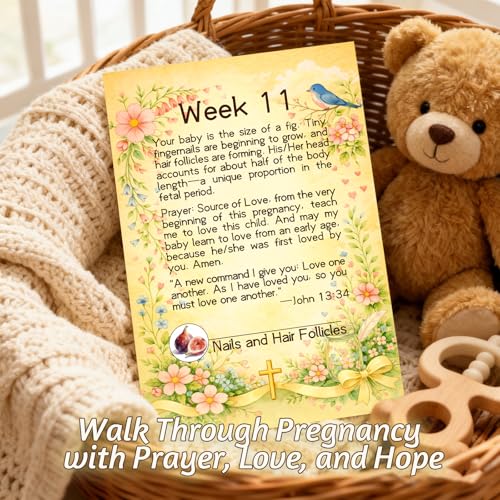 Pregnancy Scripture Prayer Cards, 20 Weekly Milestone Cards for Expecting Mothe