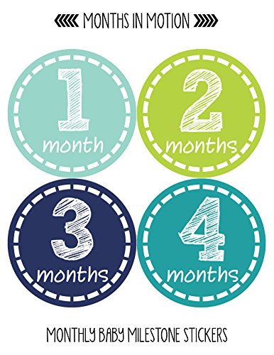 Baby Monthly Milestone Stickers - Newborn Boy Stickers (Style 113)