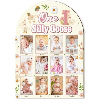 R HORSE 3D My First Year Photo Frame Board Fits 2 x 3 Inch Photo - color: Goose