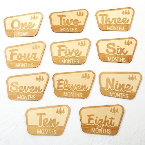 Baby Monthly Milestone Markers,Mountain Baby's First Year