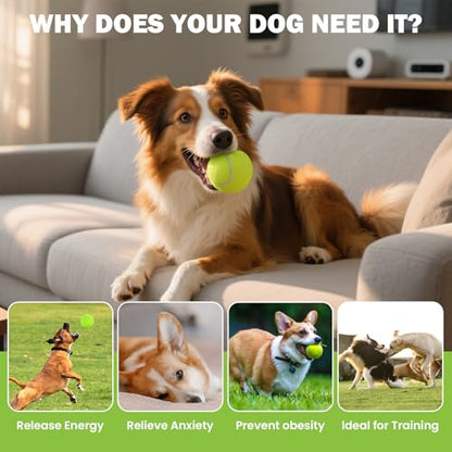 FURWEY Tennis Ball,6/12/24/36/40/80 Pack Training Balls,Dog Balls - size: 24P