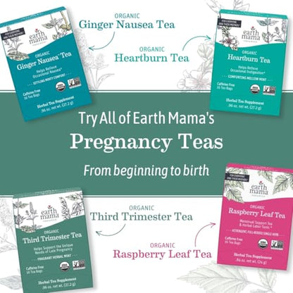 Earth Mama - Organic Peaceful Tea, Calming Herbal Blend - 16 Teabags (6 Pk) - size: 16 Count (Pack of 6)