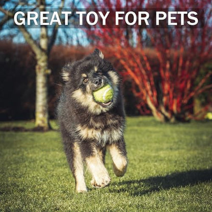 Swingers Tennis Balls, 6/20/36/80 Pack Training Exercise Balls for Pet Dog - color: Yellow, size: 6 PACK