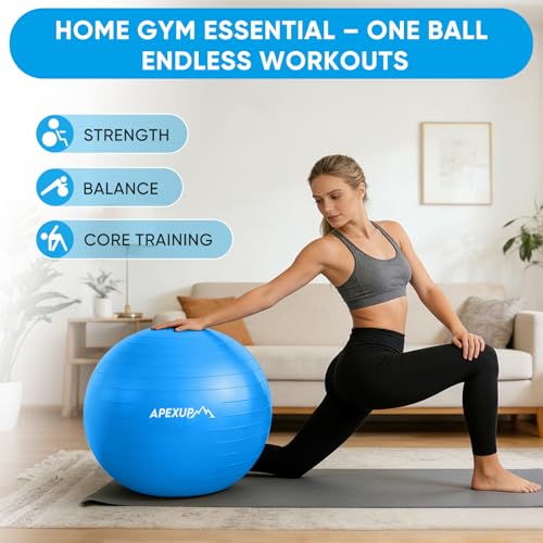 APEXUP Yoga Ball, 660 lbs Anti-Burst Exercise Ball with Pump, 5 Sizes - color: Blue, size: M (19"~22") 55cm