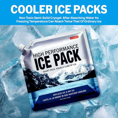 Reusable Ice Packs for Cooler Bag & Large Lunch Box, Long Lasting Gel Freezer Pack for Camping, Picnics, Heavy Duty Cold Packs, 4 Pack (9.8"x9.8") - size: Medium-4pk