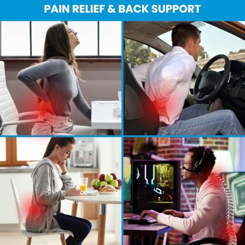 QUTOOL Patented Lumbar Support for Office Chair Pressure Relief