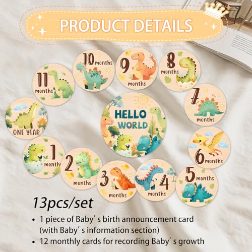 Baby Monthly Milestone, Dinosaur Monthly Milestone Sign, Newborn Gift 13Pcs - color: Dinosaur1