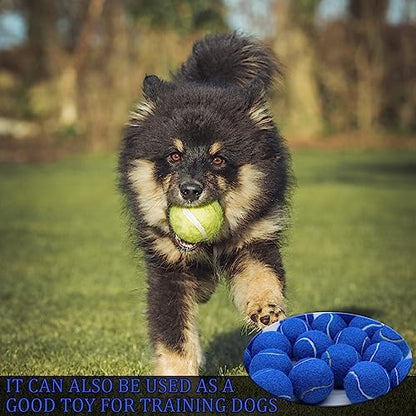 Swingers Tennis Balls, 6/20/36/80 Pack Training Exercise Balls for Pet Dog - color: Dark Blue, size: 20 PACK
