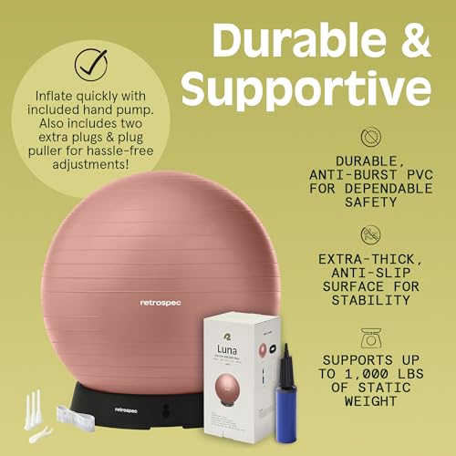 Retrospec Retrospec Luna Exercise Ball - color: Rose