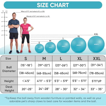 APEXUP Yoga Ball, 660 lbs Anti-Burst Exercise Ball with Pump, 5 Sizes - color: Light Blue, size: M (19"~22") 55cm