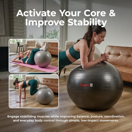 Sunny Health & Fitness Premium Anti-Burst Exercise & Stability Ball - size: 25.6" (65cm)