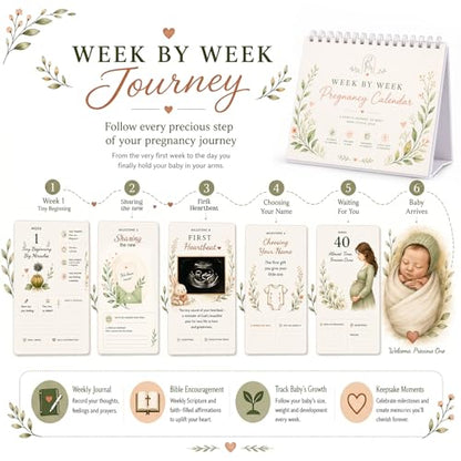 Pregnancy Calendar For First Time Moms | Week by Week Baby Countdown