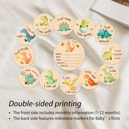 Baby Monthly Milestone, Dinosaur Monthly Milestone Sign, Newborn Gift 13Pcs - color: Dinosaur1