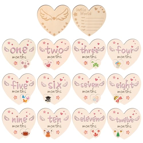 Baby Monthly Milestone Board Set with Hello World Sign&First Holiday Board