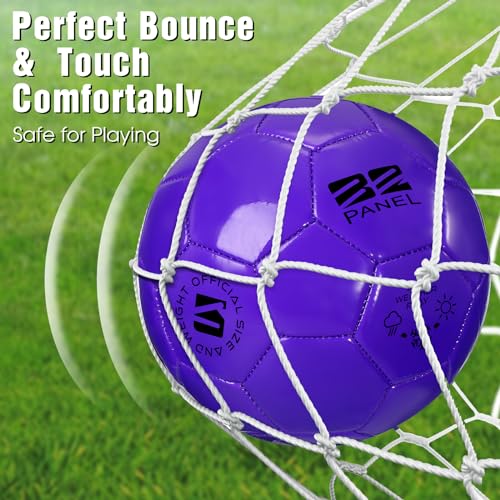 Shappy 2 Pcs Soccer Balls Bulk with Pump Mesh Bag - color: Dark Purple, size: Size 5