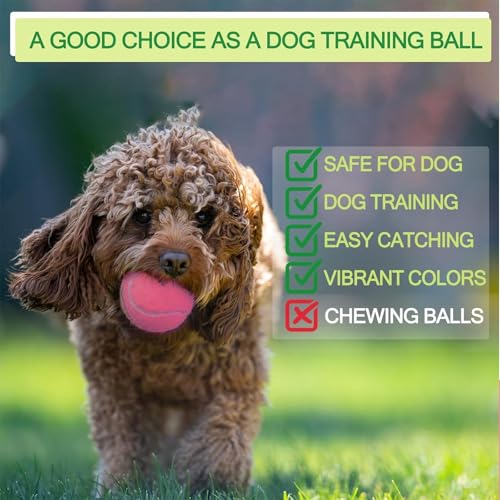 INSUM Bulk Tennis Balls, Extra Duty Practice Balls with Mesh Bag - color: Mixed, size: 12 Pack