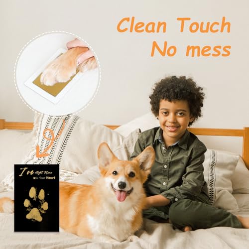 DeerZone Inkless Paw Print Kit,Dog Paw Print Kit,Dog Nose Print Kit - color: Gold/Black, size: Medium-Large 4 Pack