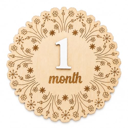 Monthly Milestone Signs for Baby Girl 1-12 Months, Removable Number Baby Month Markers, Double-Sided Newborn Photography Props, Monthly Photo Props, First Year Keepsake, room decoration (QR13) - color: QR13