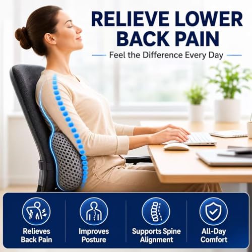 Ergonomic Lumbar Support Pillow, Memory Foam Back Cushion - color: Gray